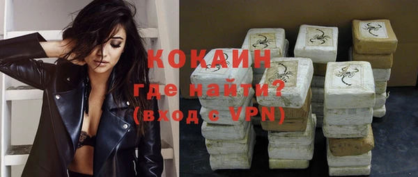 мет Новозыбков