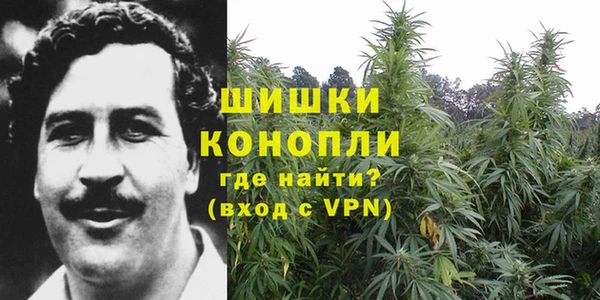 гидропоника Нягань